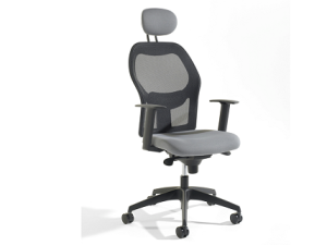 Alize Mesh Office Chair with Black Frame & Headrest