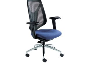 Duce Mesh Back Ergonomic Chair