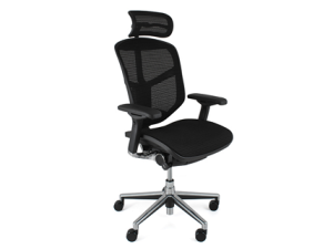 Enjoy Elite Chair in Mesh