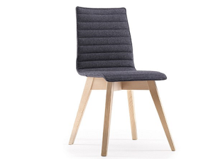 Bjorn Chair with Wood Frame & Padded Seat