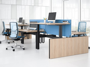 Motion Adjustable Desks
