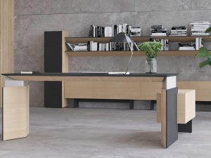 EXECUTIVE OFFICE FURNITURE