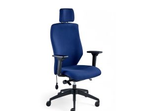 Blast Ergonomic Task Chair