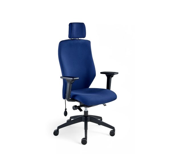 Blast Ergonomic Task Chair