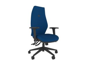 IT550 Ergonomic Posture Chair