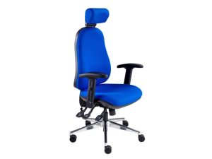 Polar Ergonomic Task Chair