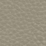 Taupe DB05