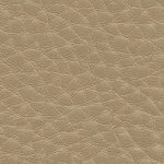 Warm Beige DB04
