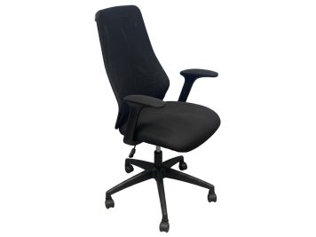 Duchy Mesh Ergonomic Office Chair
